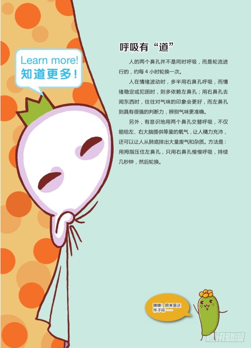 🍔罗罗布爆笑百科 劳逸结合呀 第4页