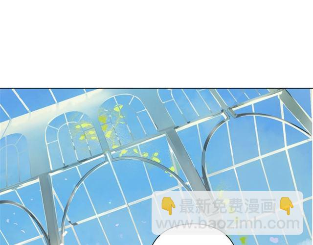 🍔露西亚-攻略公爵计划 第16话 玫瑰宫 第29页
