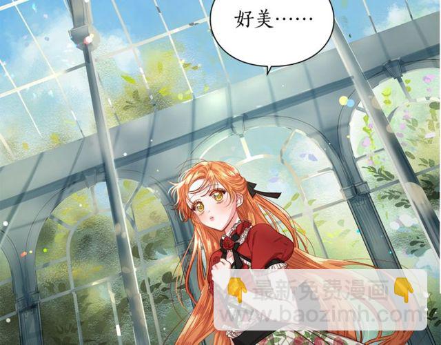🍔露西亚-攻略公爵计划 第16话 玫瑰宫 第30页