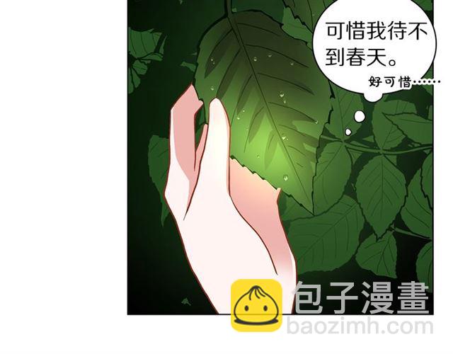 🍔露西亚-攻略公爵计划 第16话 玫瑰宫 第38页
