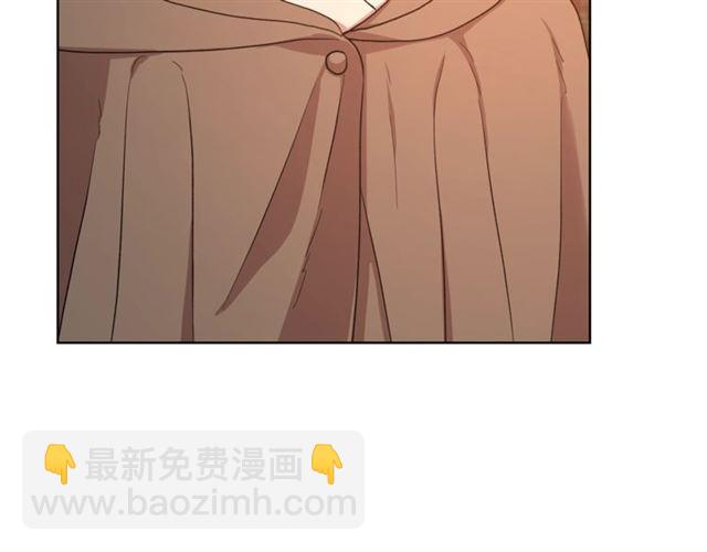 🍔露西亚-攻略公爵计划 第40话 不许接近我妻子 第29页