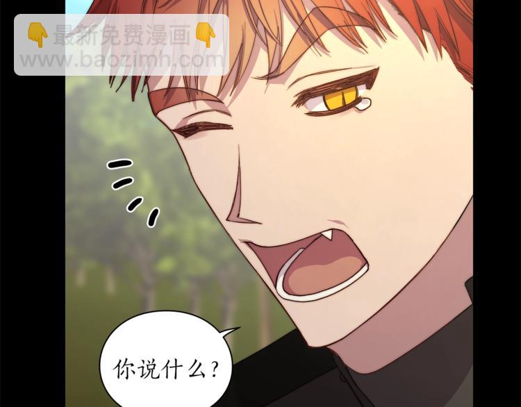 🍔露西亚-攻略公爵计划 第76话 关于送矿山的事 第14页