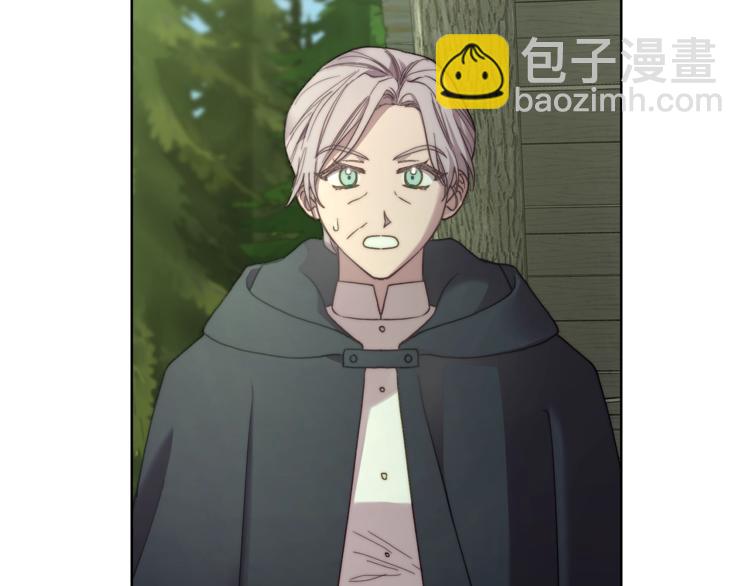 🍔露西亚-攻略公爵计划 第78话 被厌弃的医师 第29页