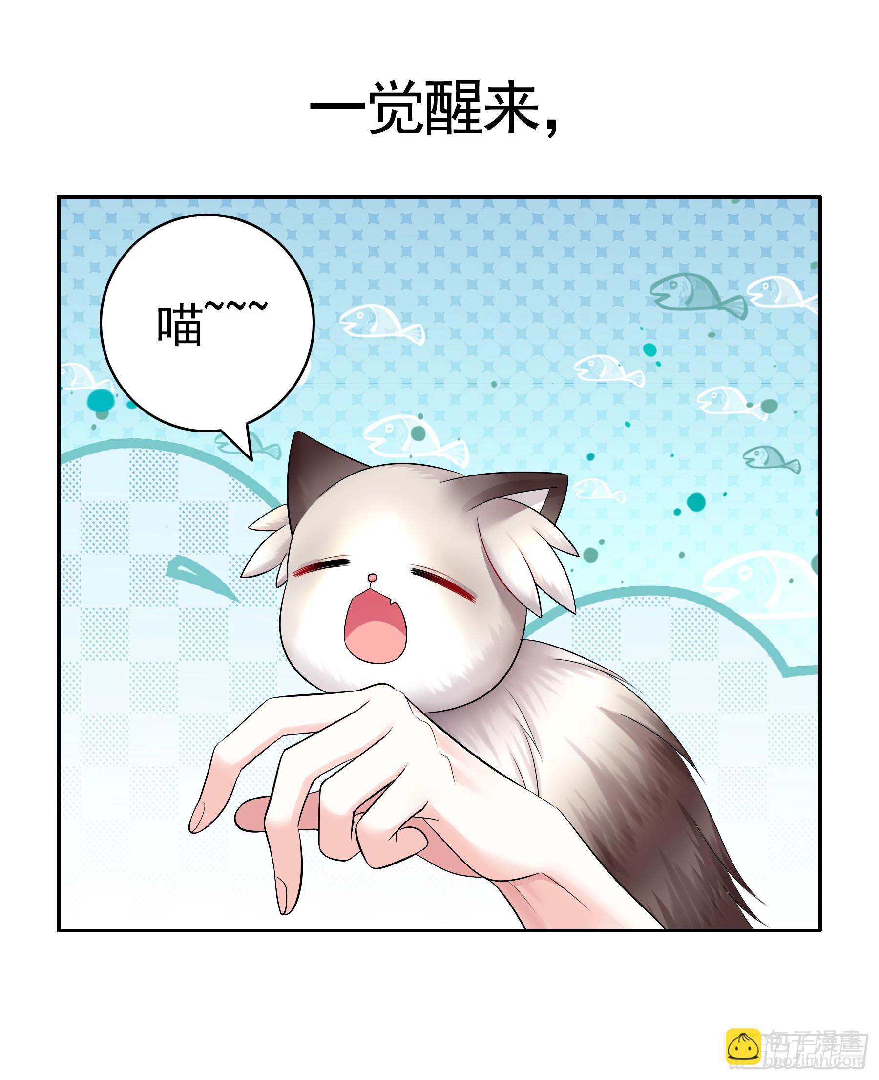 猫娘1月1日合成！-第1话