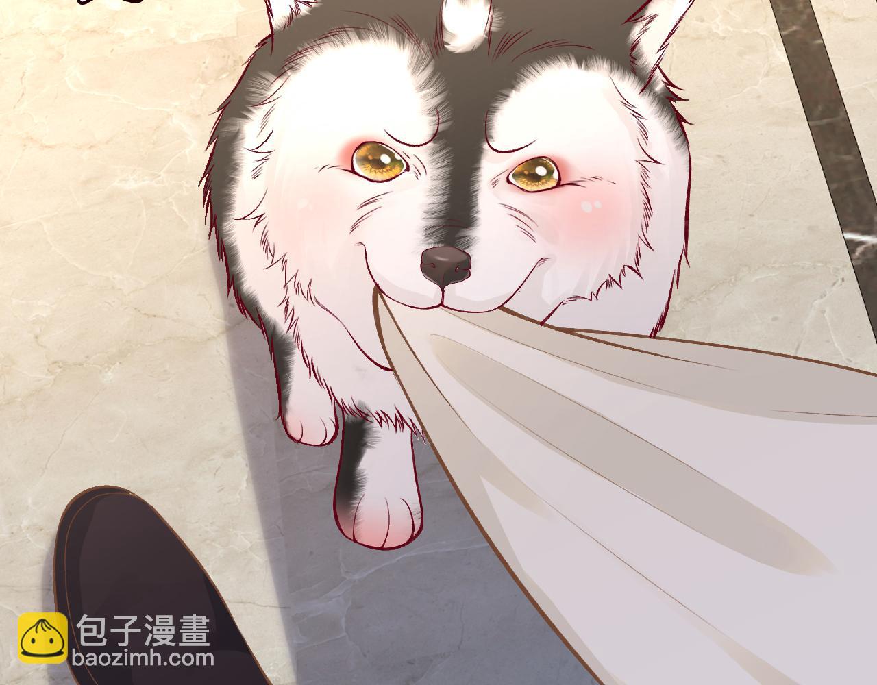 第150 二哥与狗(1/3)-第151话