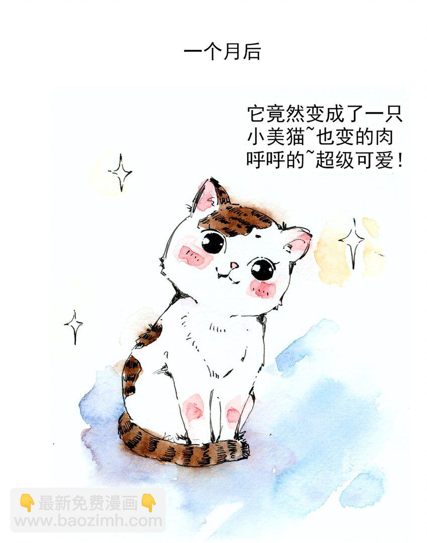 🍟满满日常漫画 11 捡到一只猫 第11页