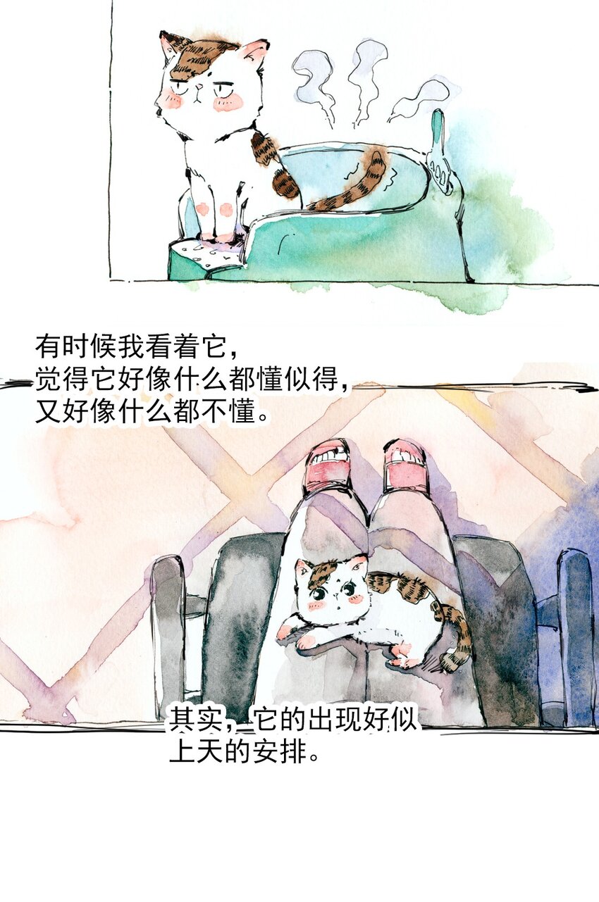 🍟满满日常漫画 11 捡到一只猫 第13页