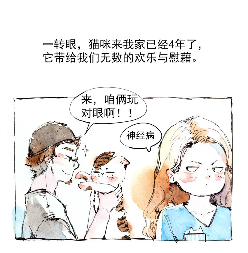 🍟满满日常漫画 11 捡到一只猫 第19页