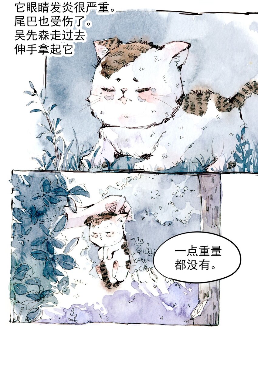 🍟满满日常漫画 11 捡到一只猫 第2页