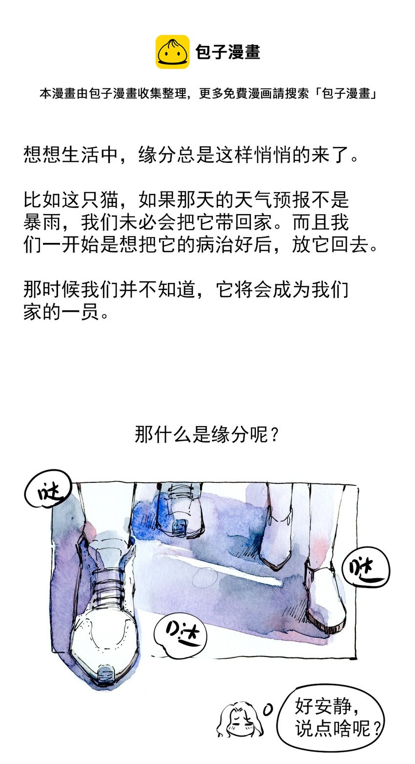 🍟满满日常漫画 11 捡到一只猫 第20页