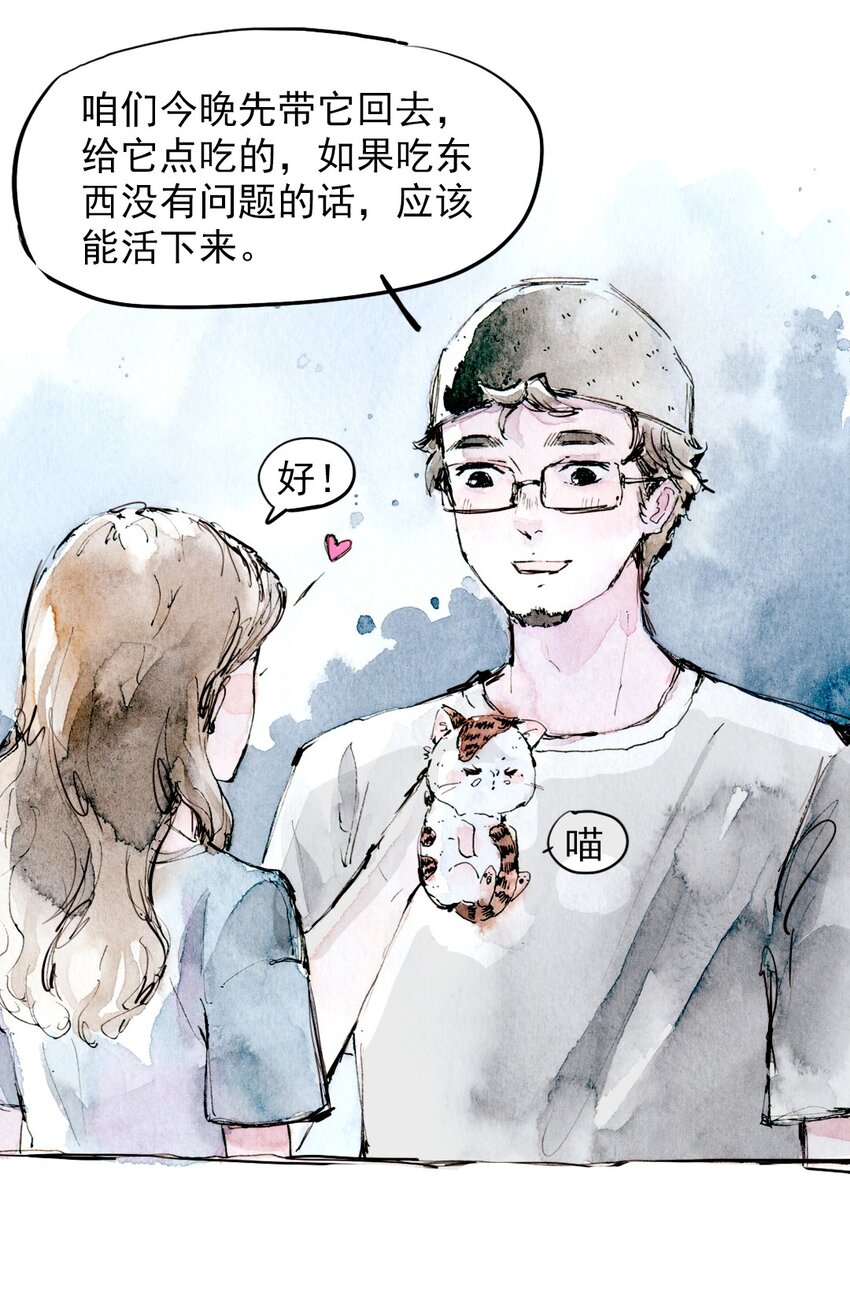🍟满满日常漫画 11 捡到一只猫 第4页
