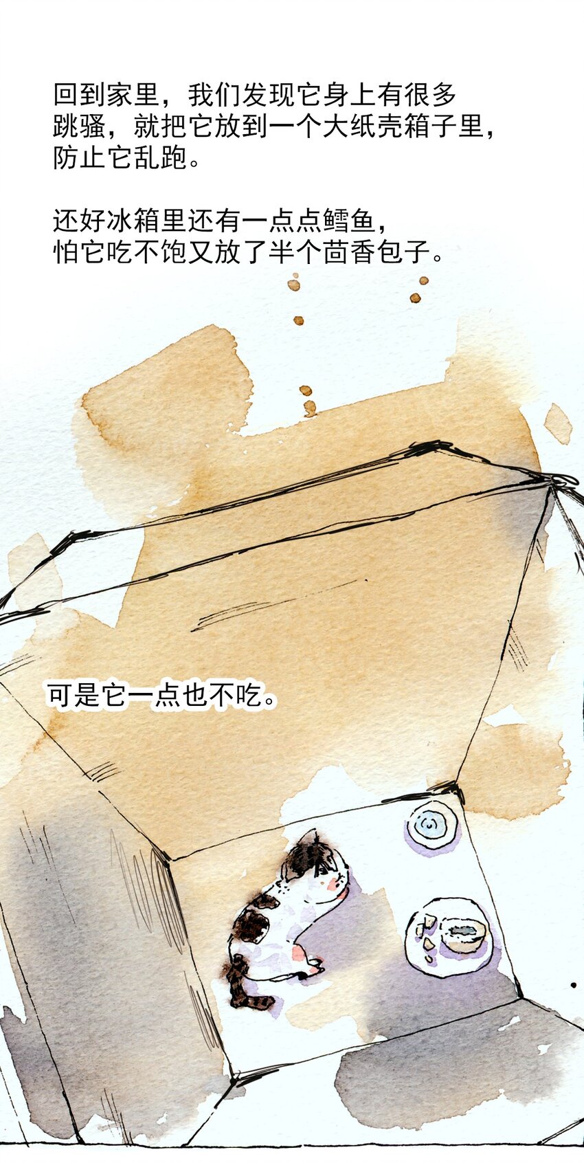🍟满满日常漫画 11 捡到一只猫 第5页