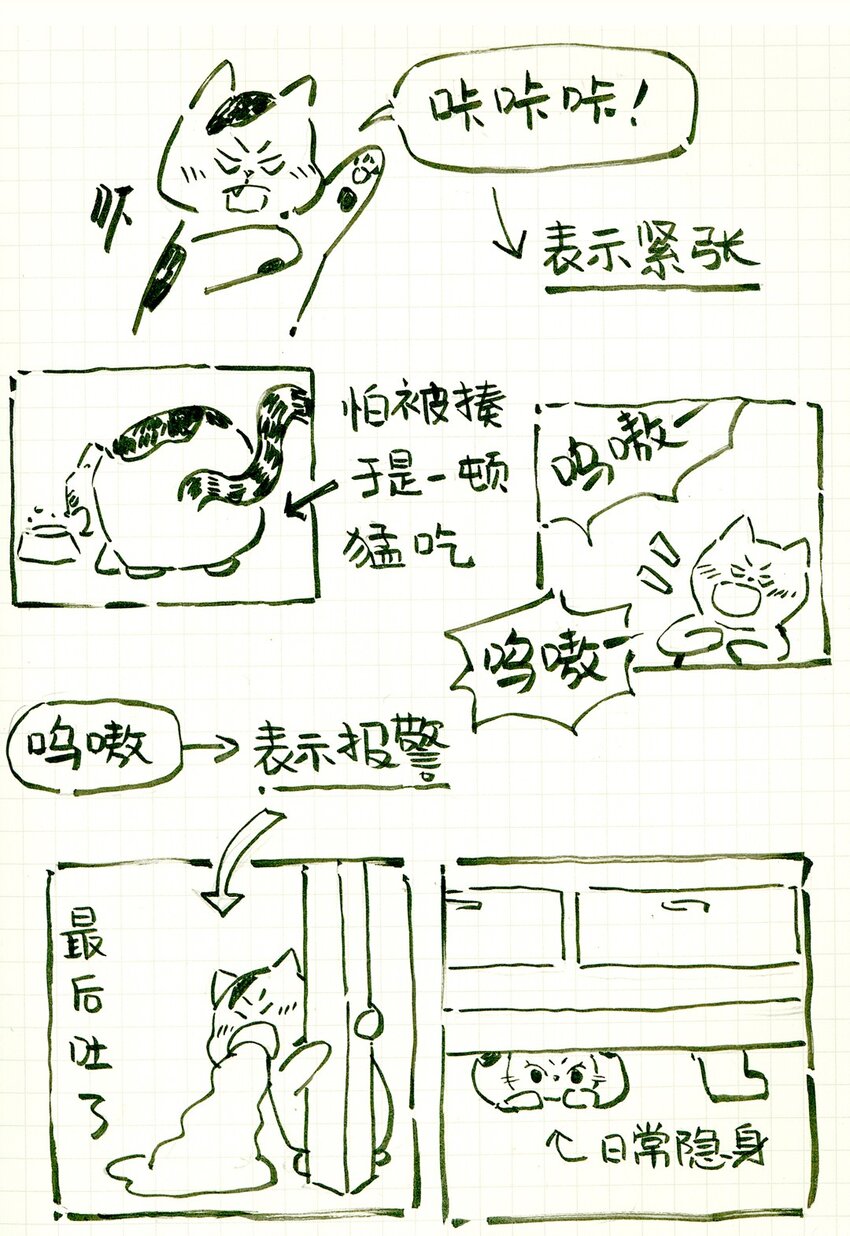 🍟满满日常漫画 09 MM杂货铺（1） 第3页