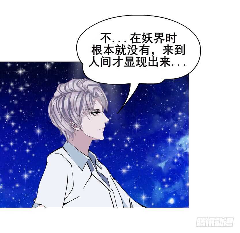 第116集 该回妖界了！-第117话