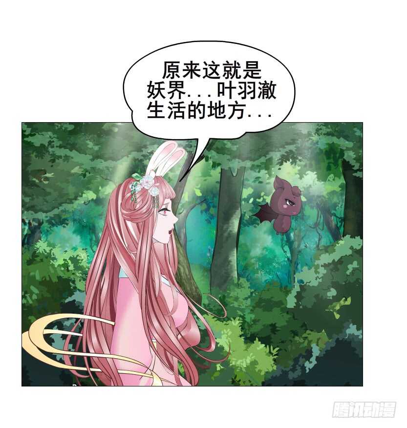第118集 兔之化身(1/2)-第119话