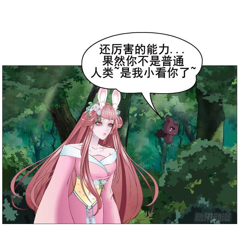 第118集 兔之化身(1/2)-第119话