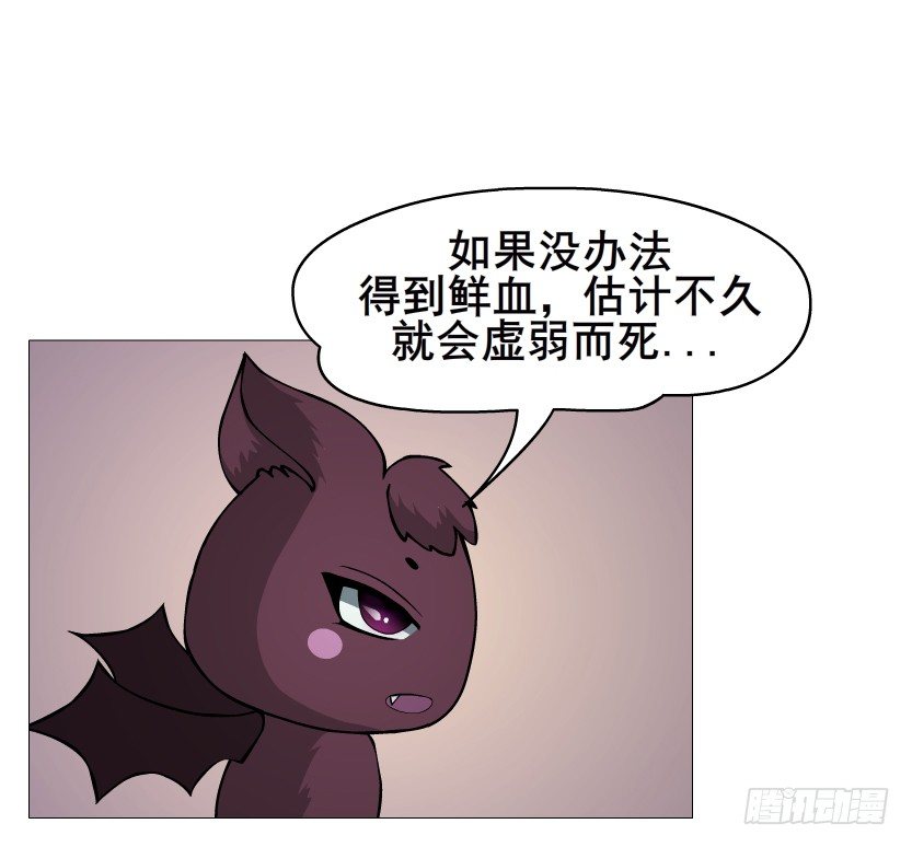 第50集 做我的新娘(1/2)-第51话
