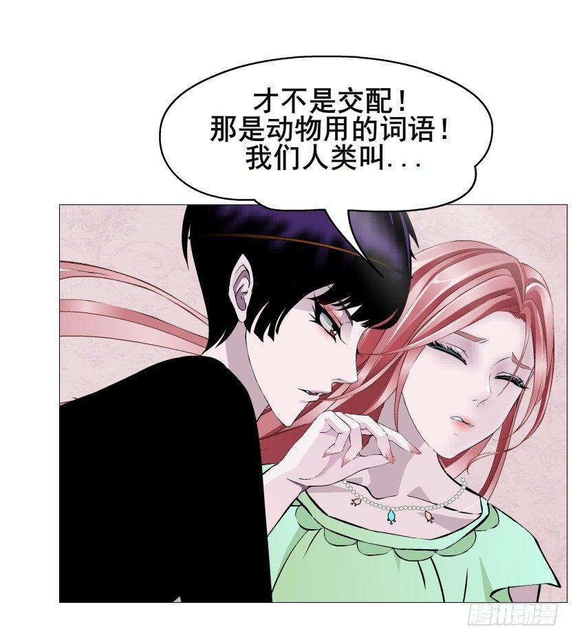 第50集 做我的新娘(1/2)-第51话