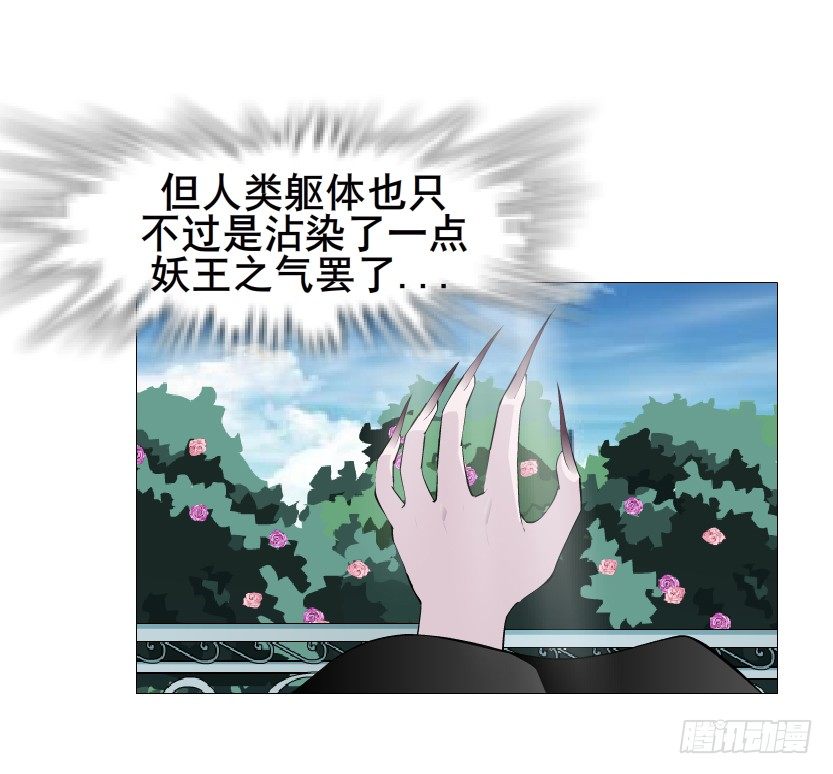 第64集 我的容器！(1/2)-第65话