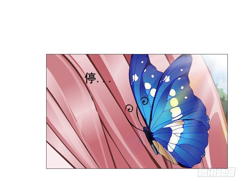 第64集 我的容器！(1/2)-第65话