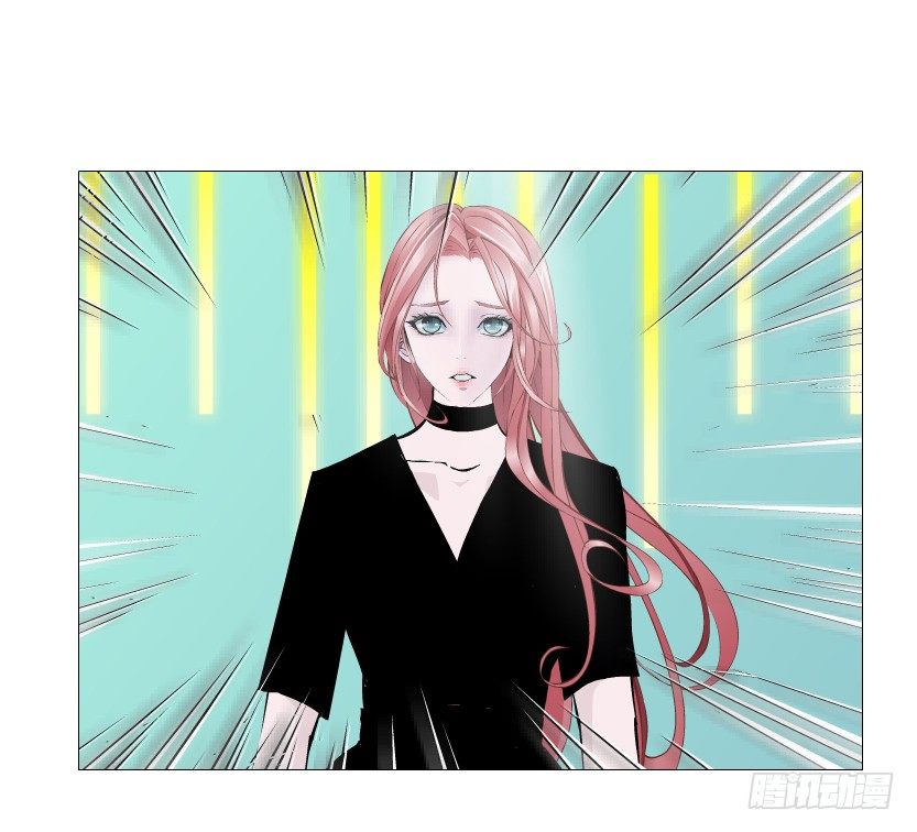 第70集 盖世小短腿(1/2)-第71话