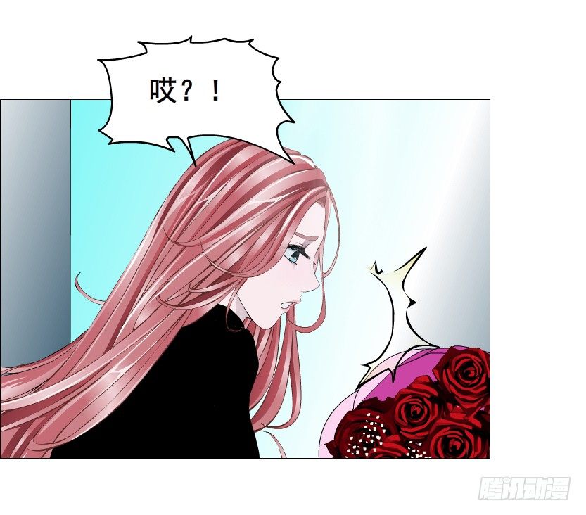 第70集 盖世小短腿(1/2)-第71话