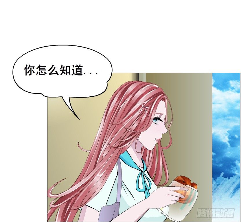 第86集 守护小熊(1/2)-第87话