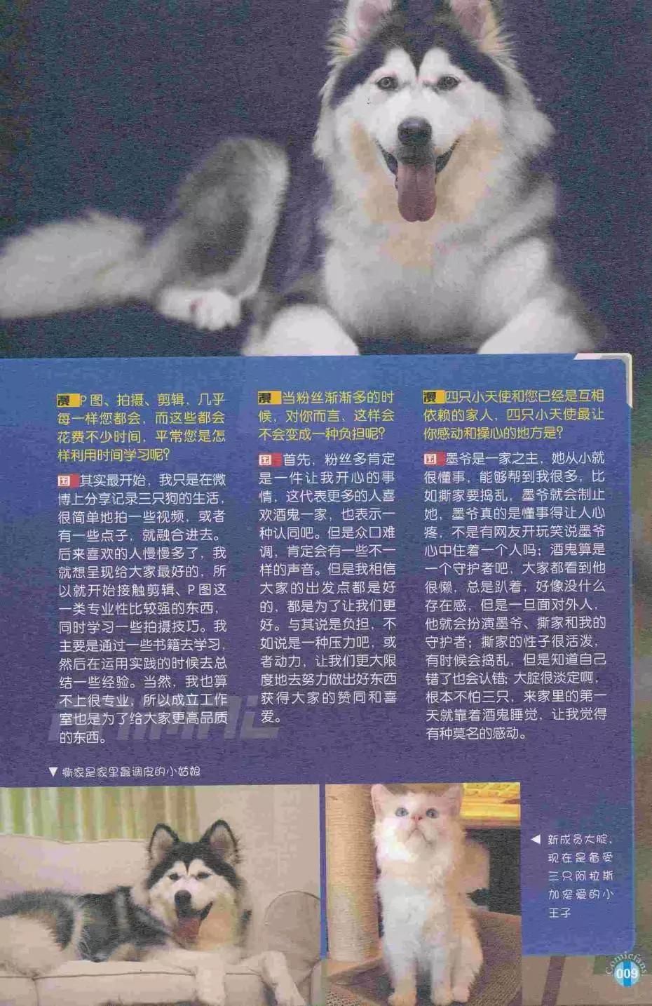 🍟漫友 第413期 全本 第11页