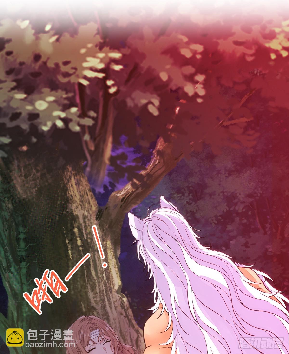 双耳狼王(1/2)-第21话