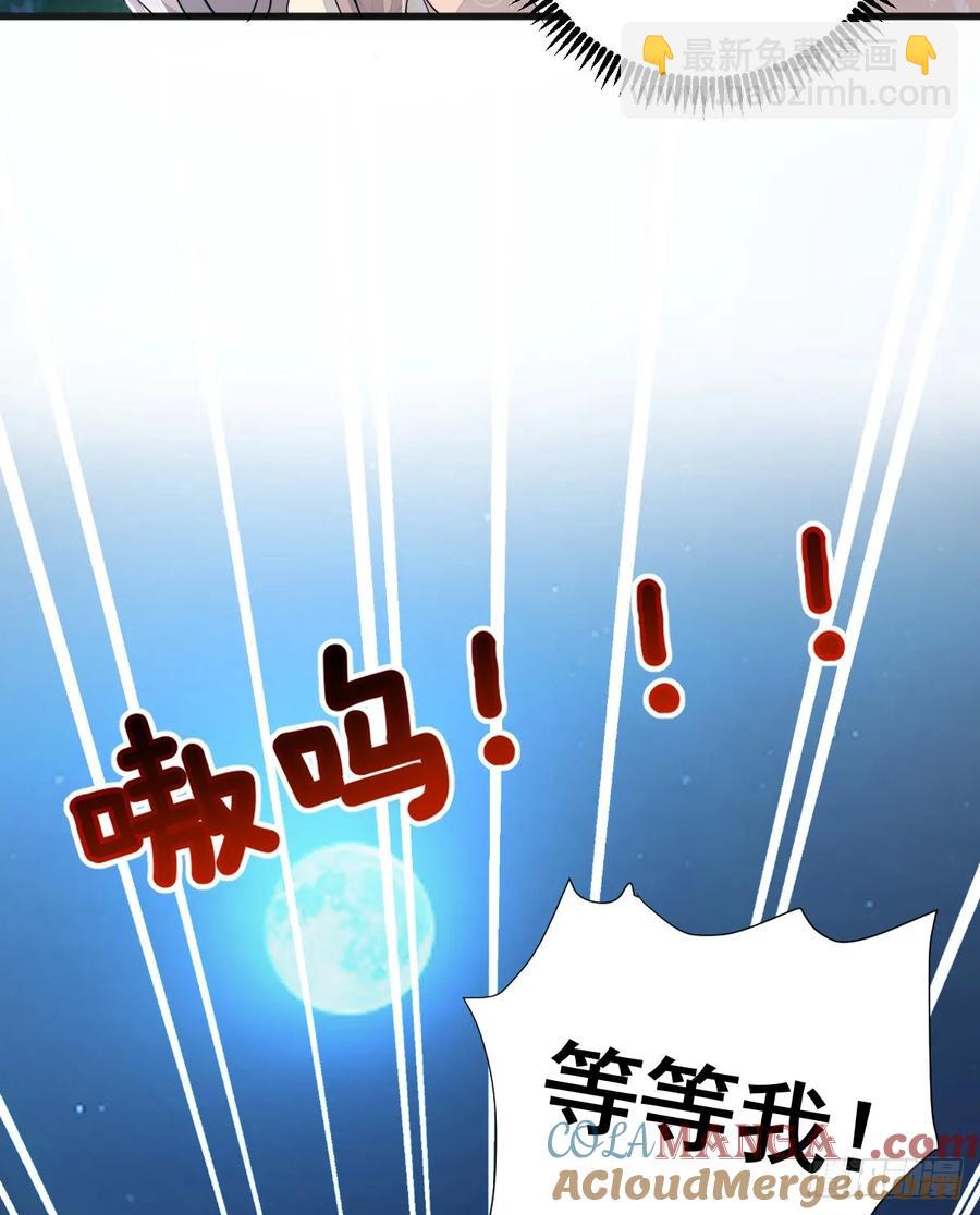 月下遛鸟(1/2)-第23话