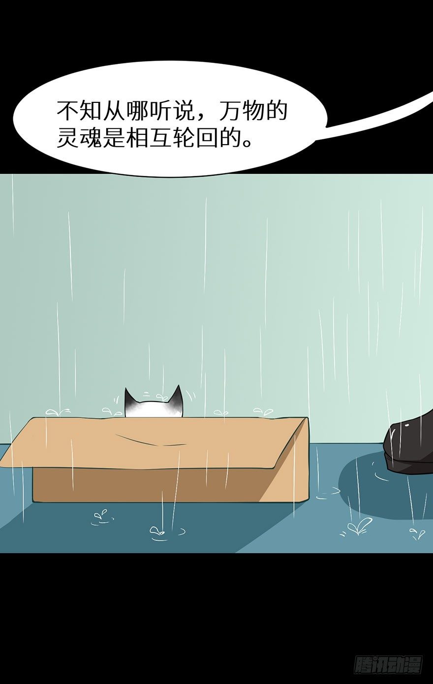 010猫奴的前世记忆-第11话