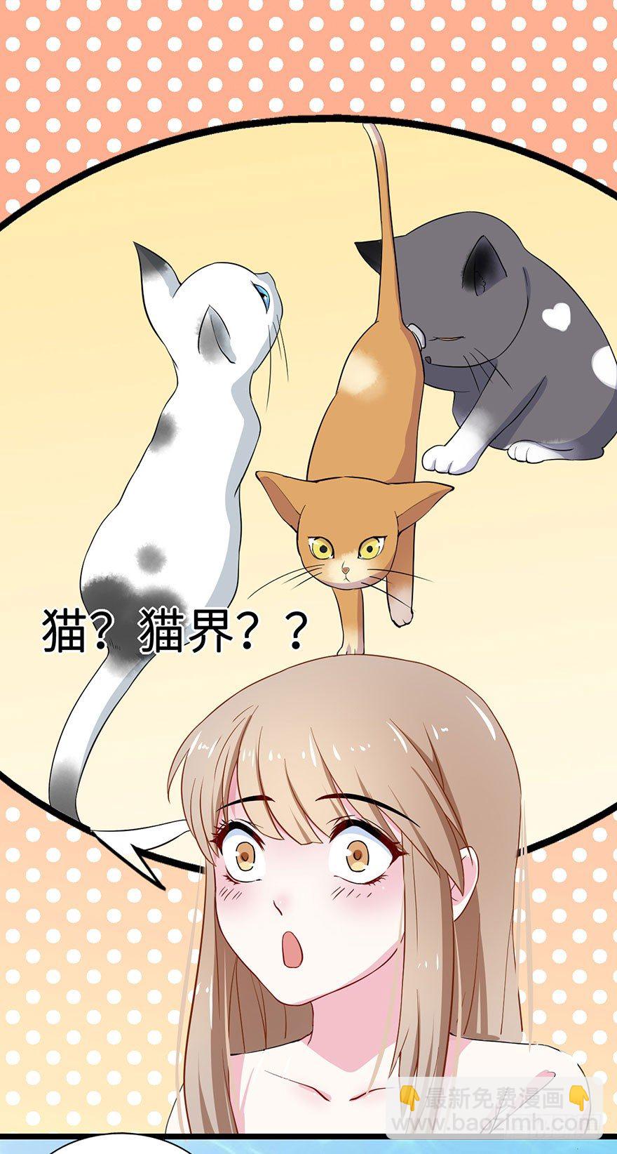 002香气诱猫的美人鱼(1/2)-第3话