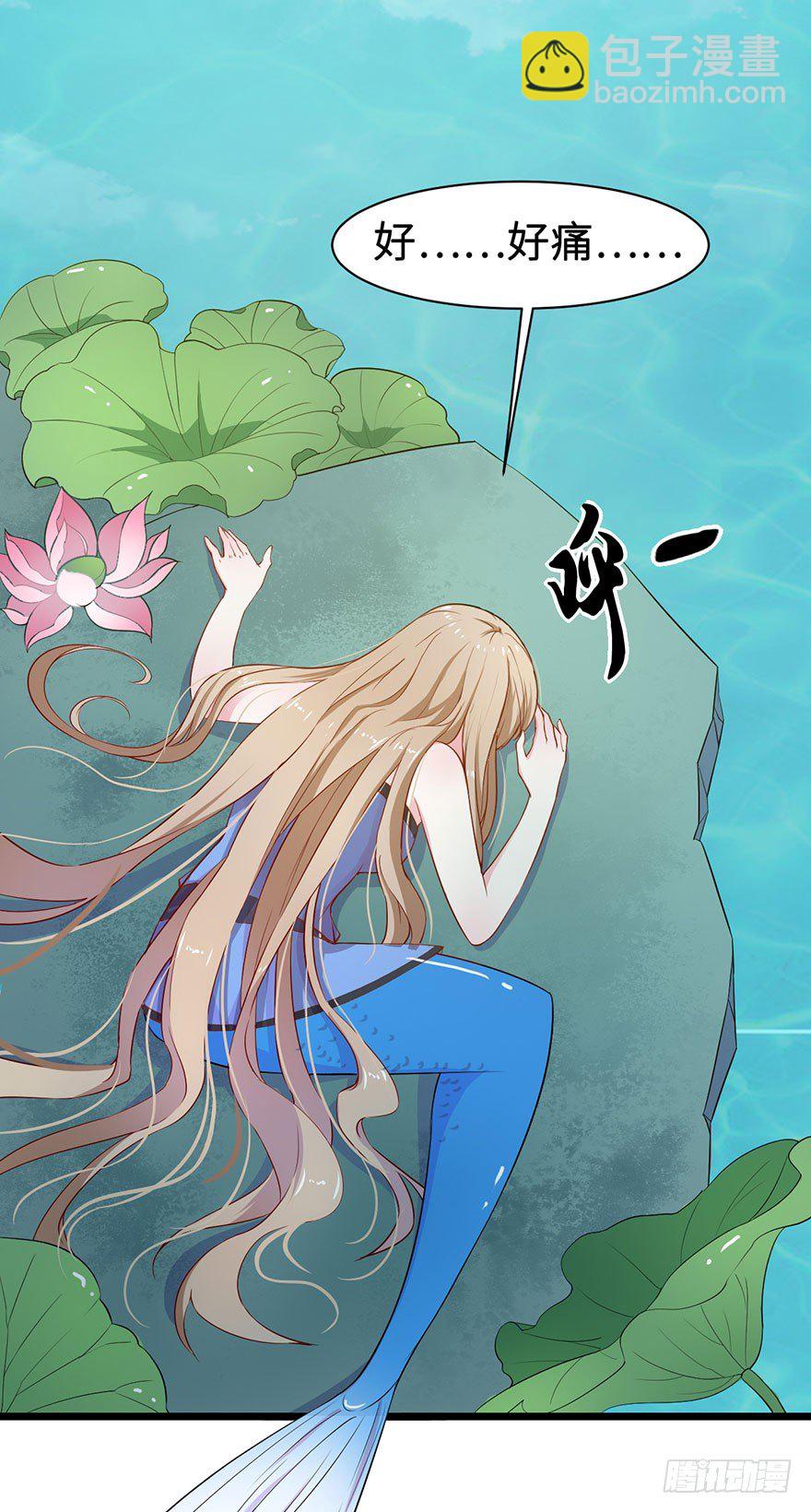 002香气诱猫的美人鱼(1/2)-第3话