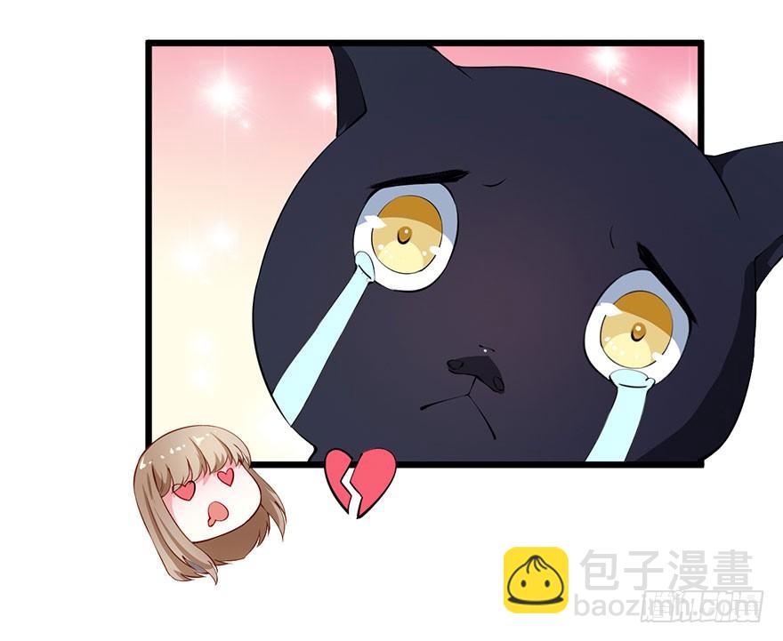 028爱猫不爱人-第29话