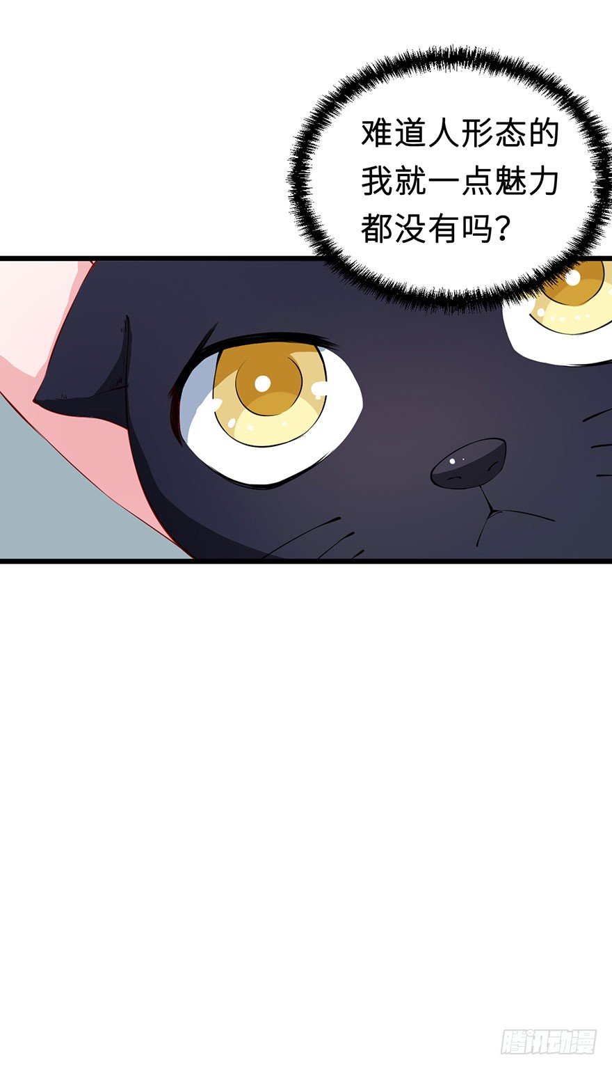 028爱猫不爱人-第29话