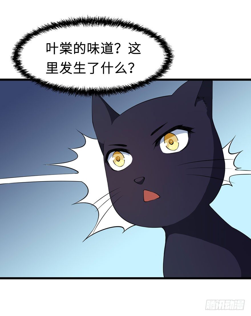 028爱猫不爱人-第29话
