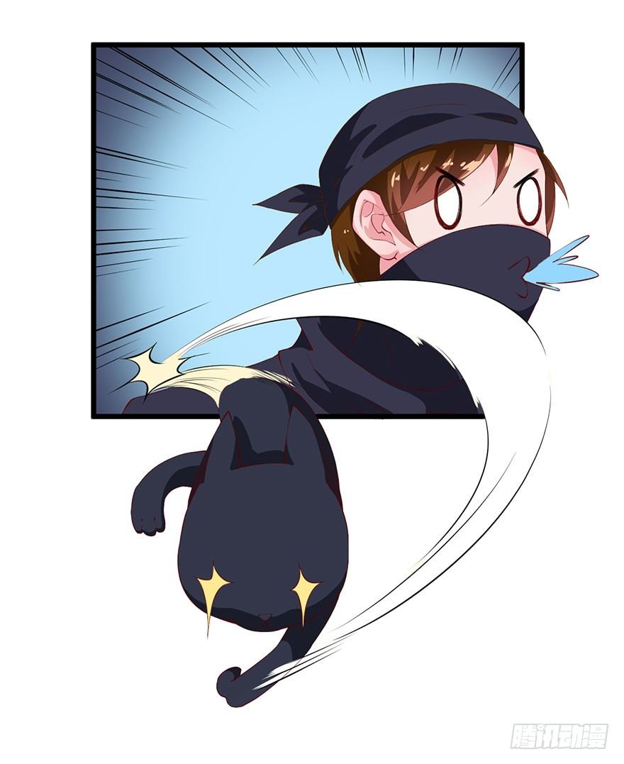 046猫爪救美-第47话