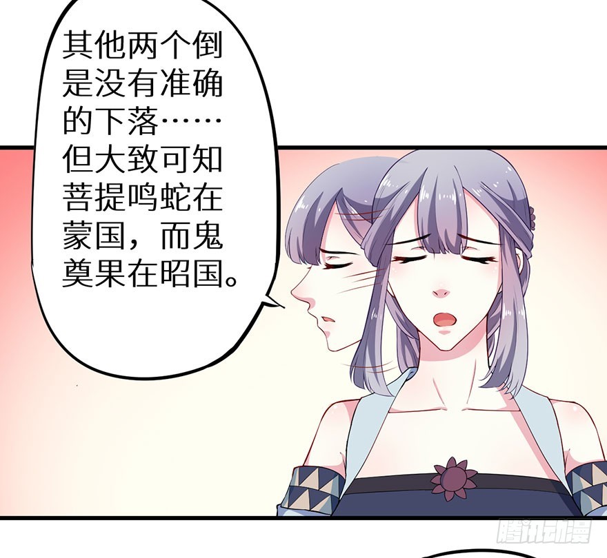 072寻药计划（上）-第73话