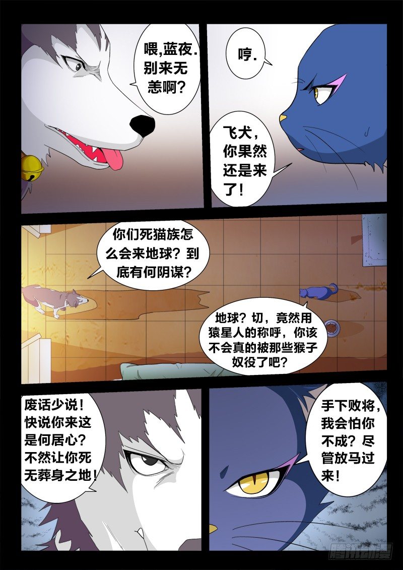 03 猫狗杀(上）-第3话