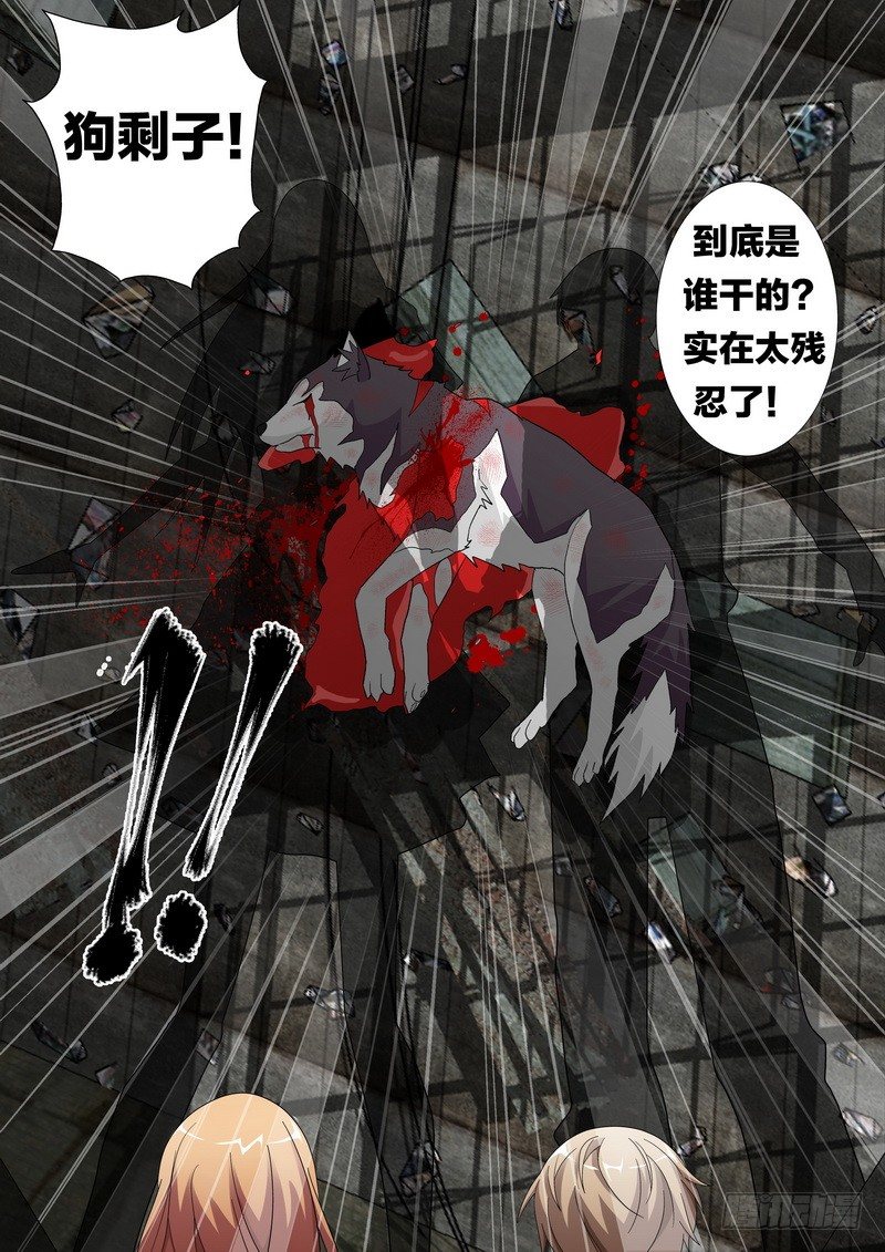 25 飞犬死亡？？-第27话