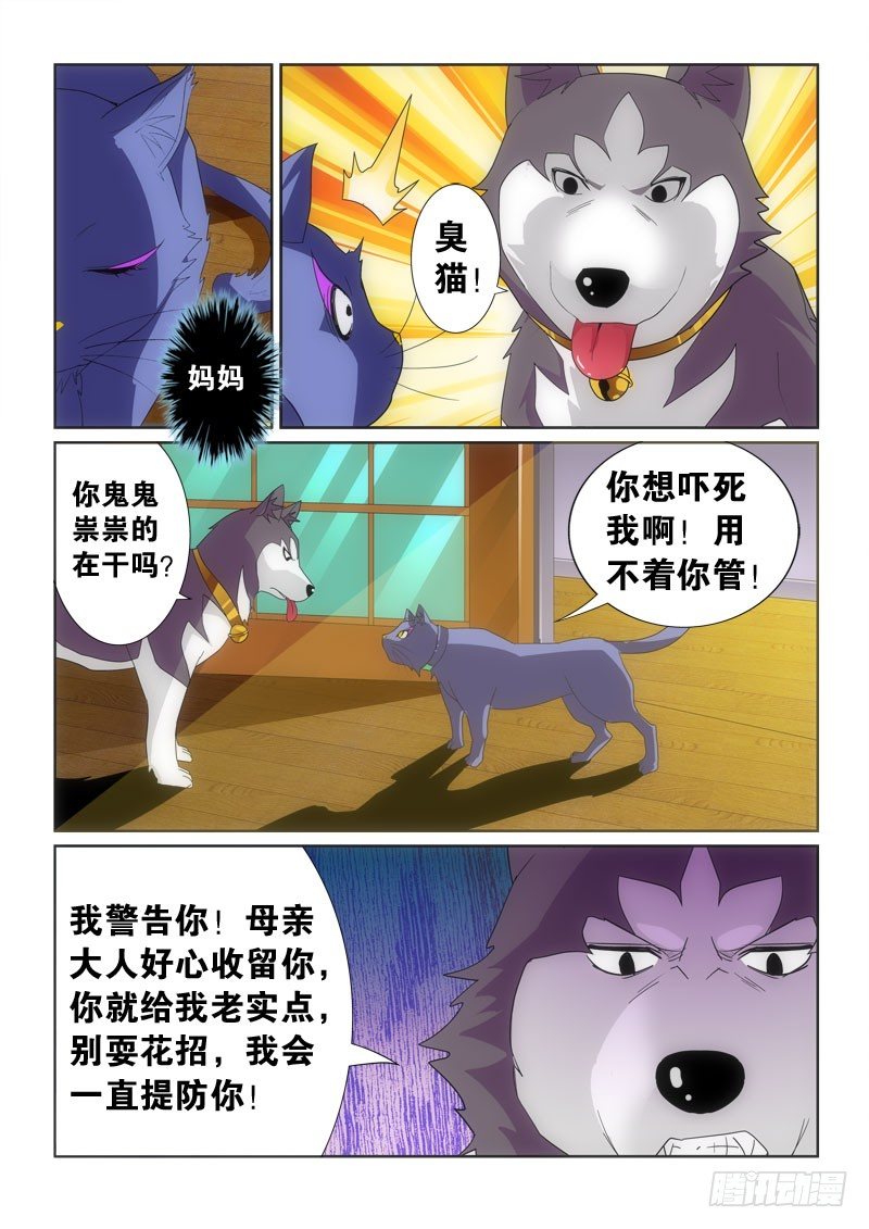 41.母亲的幸福-第43话