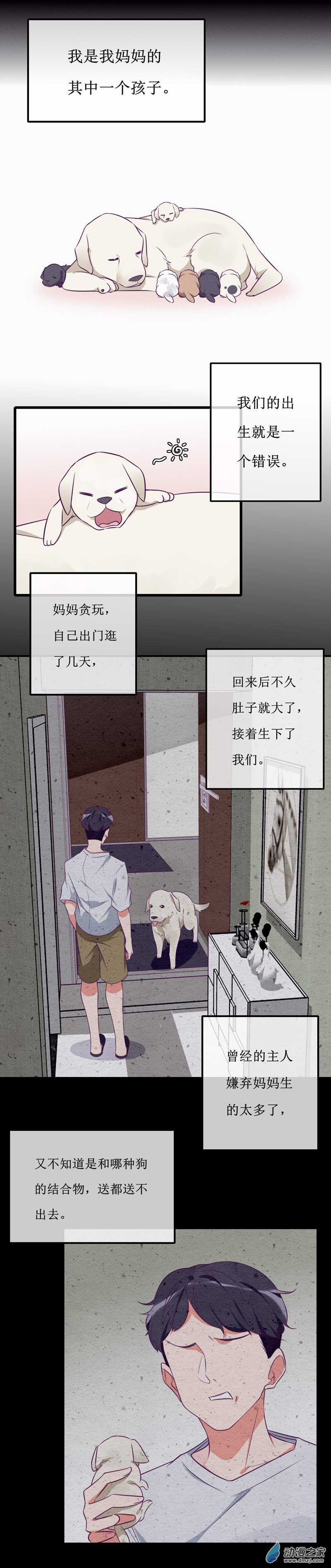 25 回首-第35话