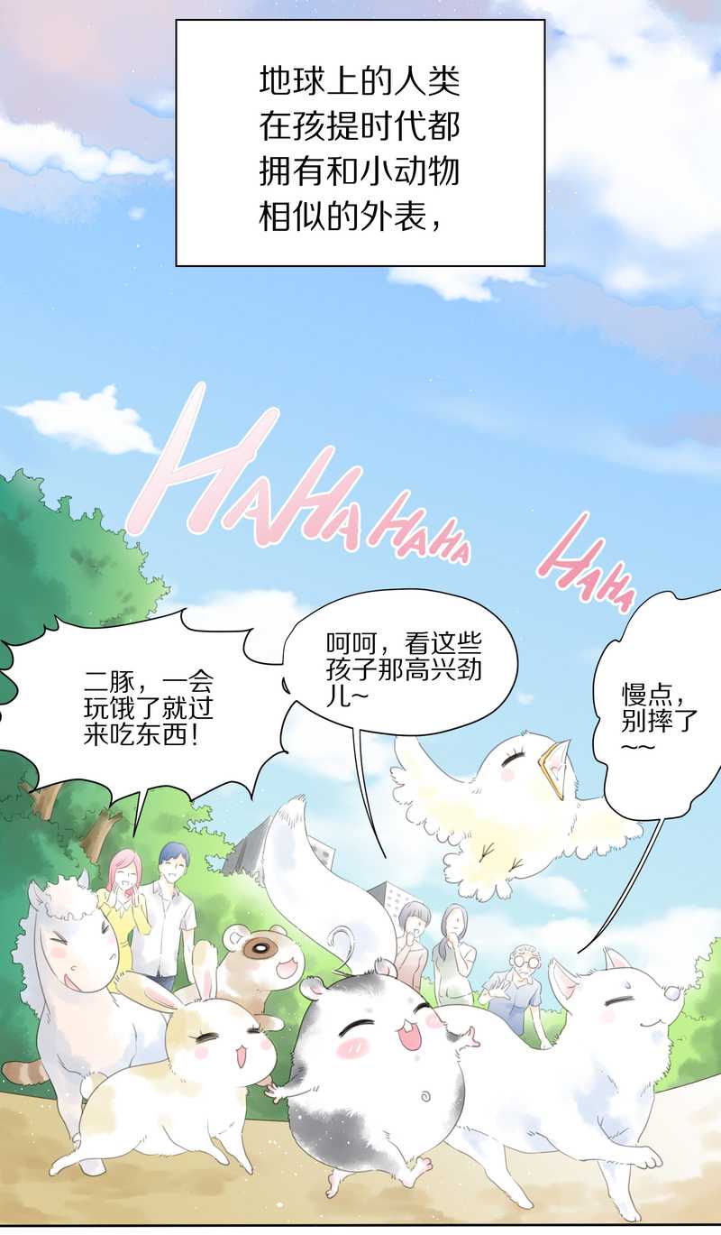 毛球星传说 第1集(1/2)-第1话