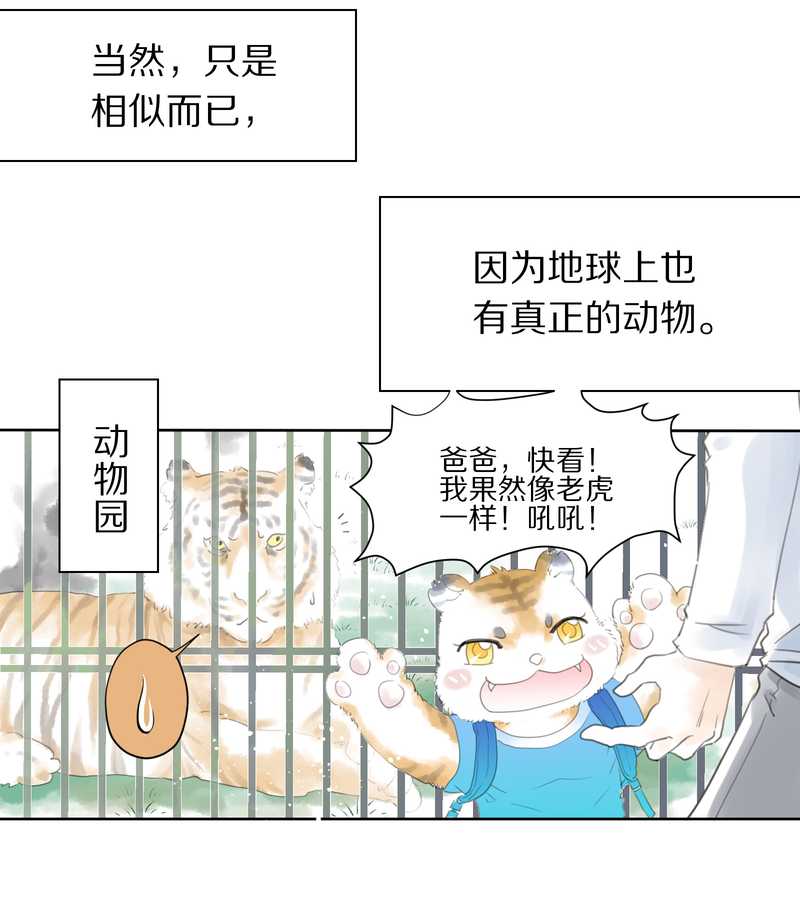 毛球星传说 第1集(1/2)-第1话