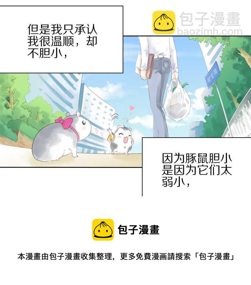 毛球星传说 第1集(1/2)-第1话