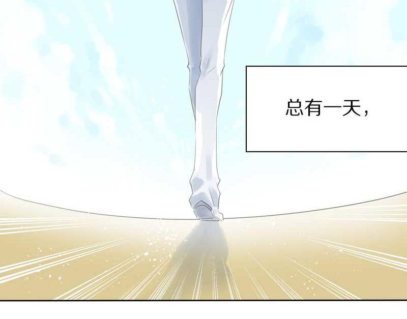 毛球星传说 第1集(1/2)-第1话