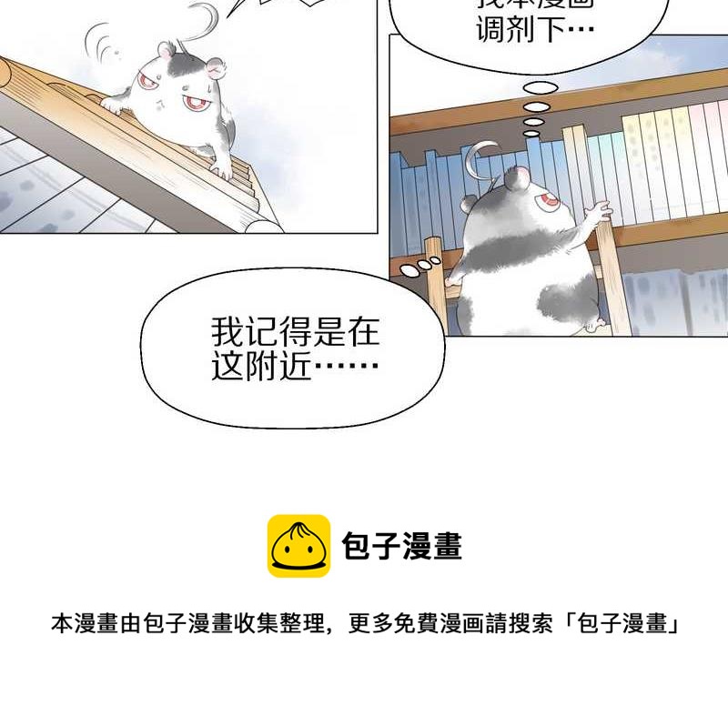 毛球星传说 第1集(1/2)-第1话