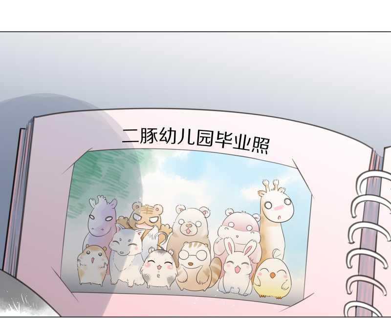 毛球星传说 第1集(1/2)-第1话