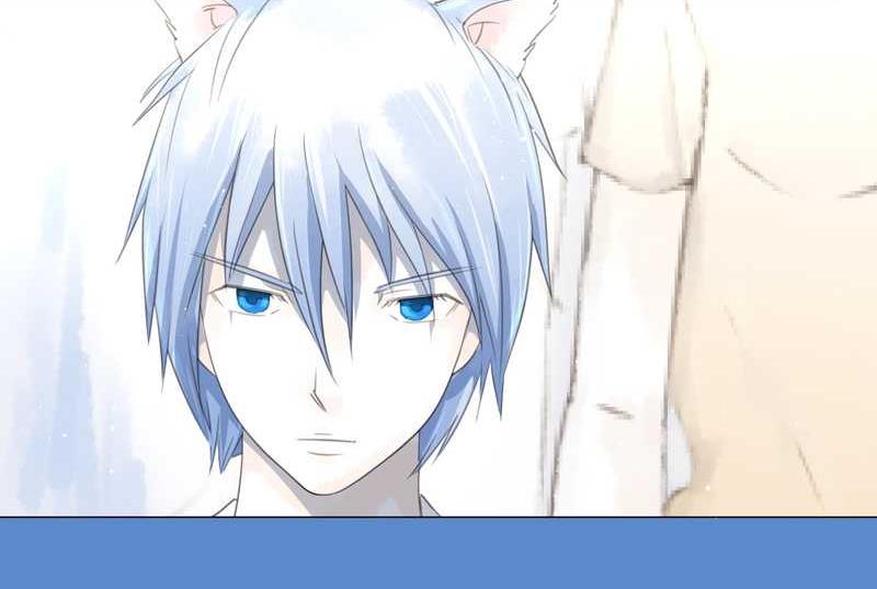 毛球星传说 第1集(1/2)-第1话