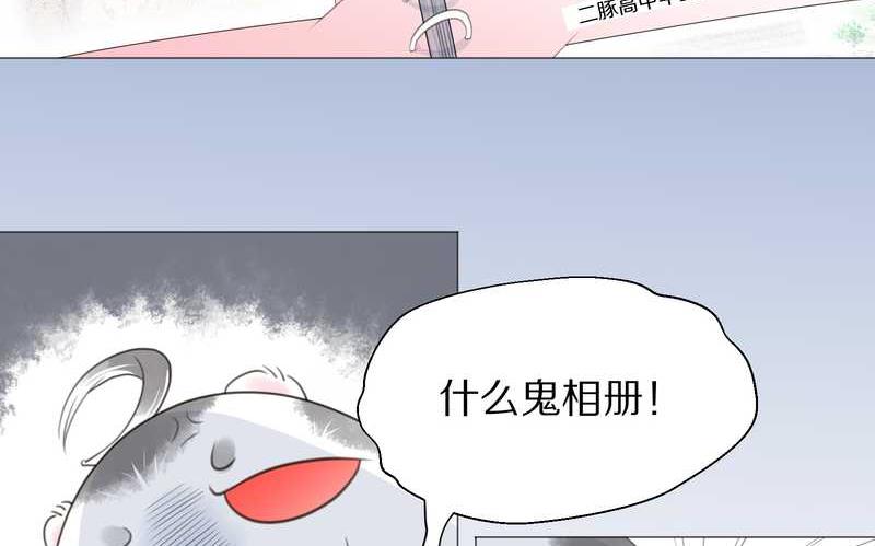 毛球星传说 第1集(1/2)-第1话